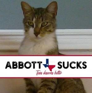 Meet your Posher, Kelli